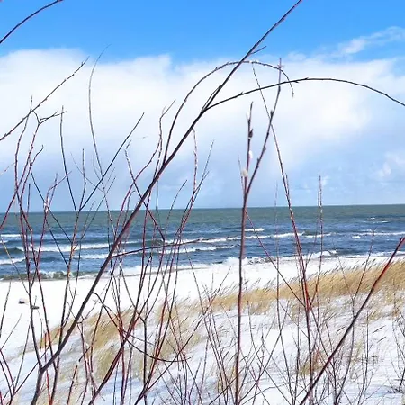 Wyspa Sobieszewska Sloneczna Przystan Danzica