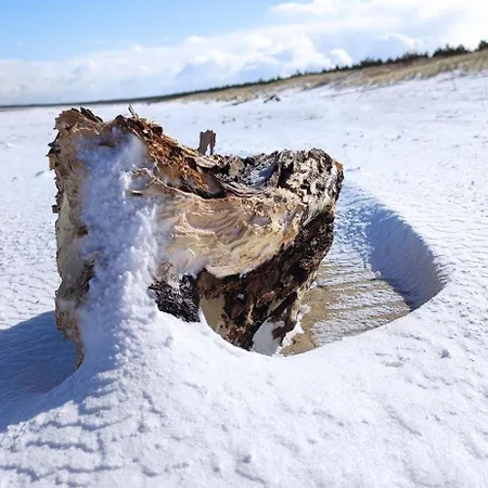 Wyspa Sobieszewska Sloneczna Przystan