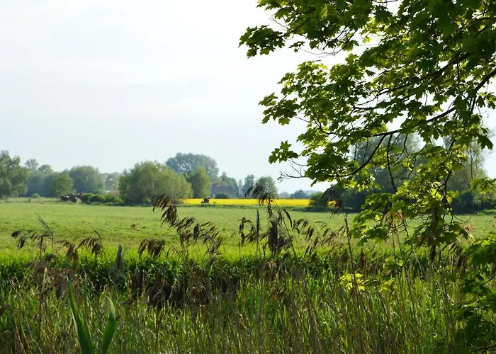 דירה Wyspa Sobieszewska Sloneczna Przystan גדנסק