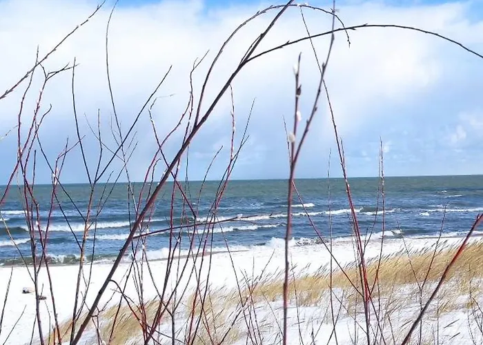 Wyspa Sobieszewska Sloneczna Przystan גדנסק