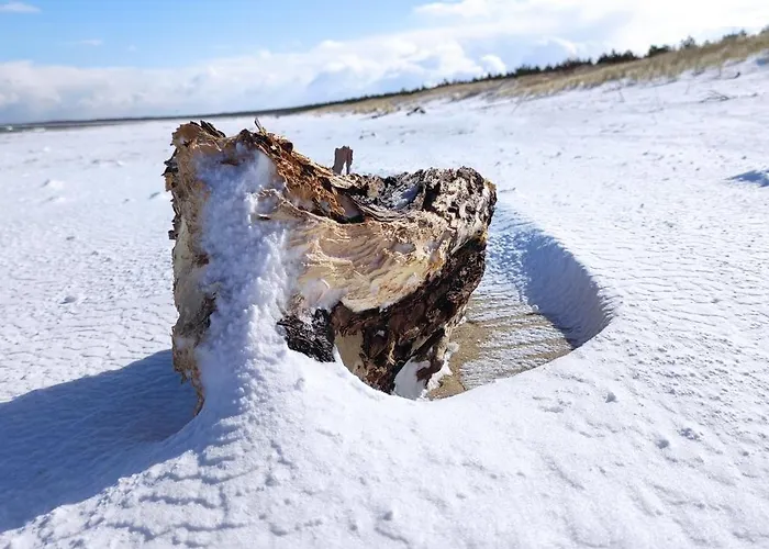 Wyspa Sobieszewska Sloneczna Przystan